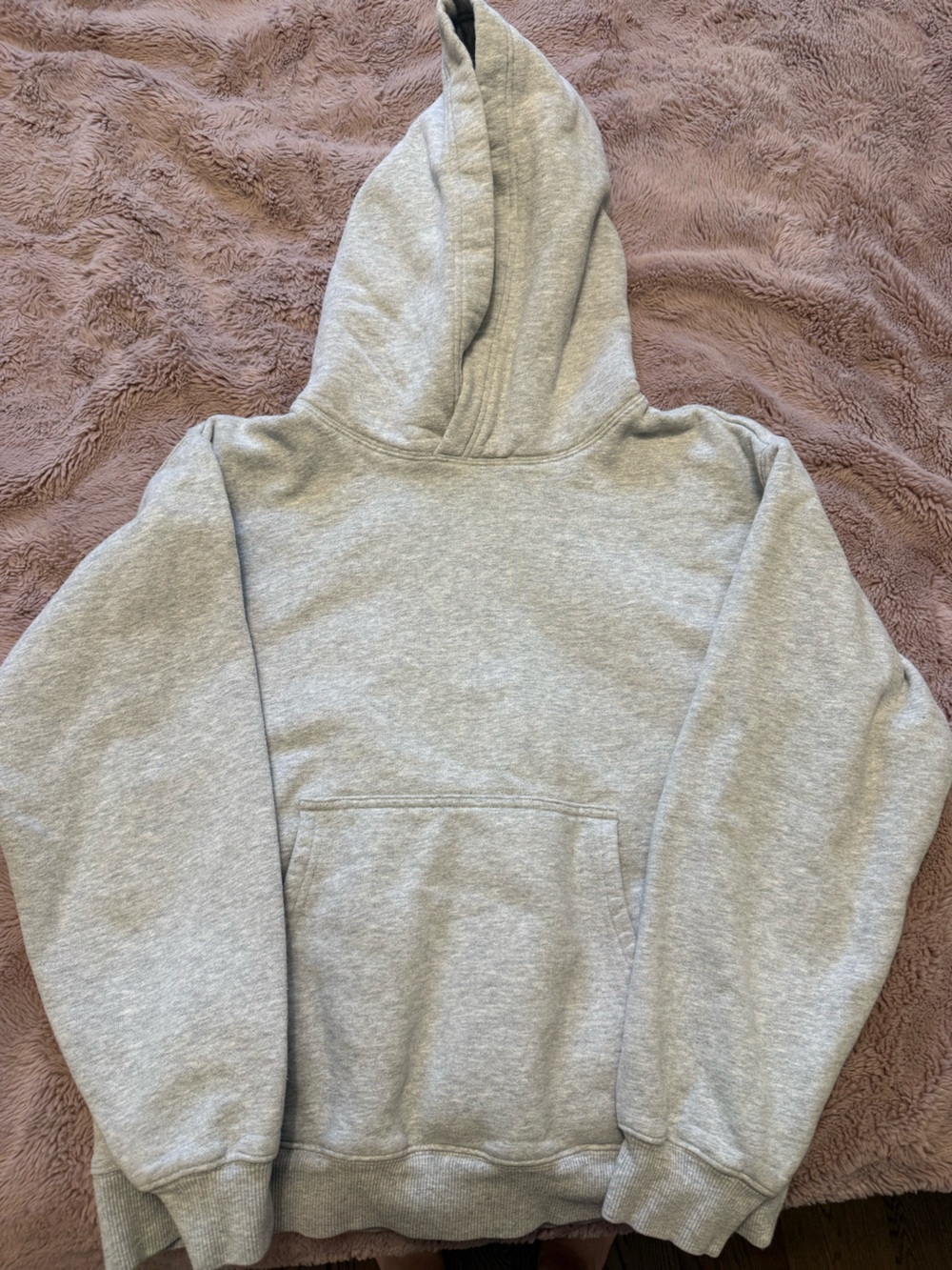 Aritzia Perfect Hoodie - Picture 3 of 4